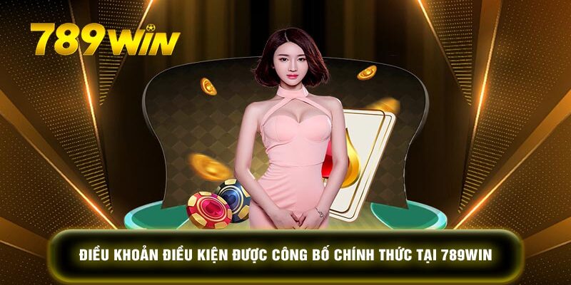 Khái quát điều khoản sử dụng tại 789WIN 