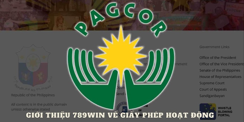 Giới thiệu 789WIN về giấy phép hoạt động