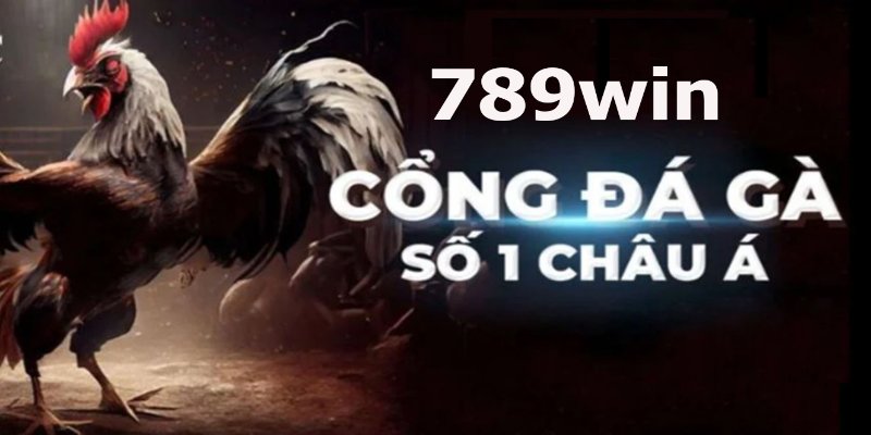 Tổng quan về đá gà 789WIN